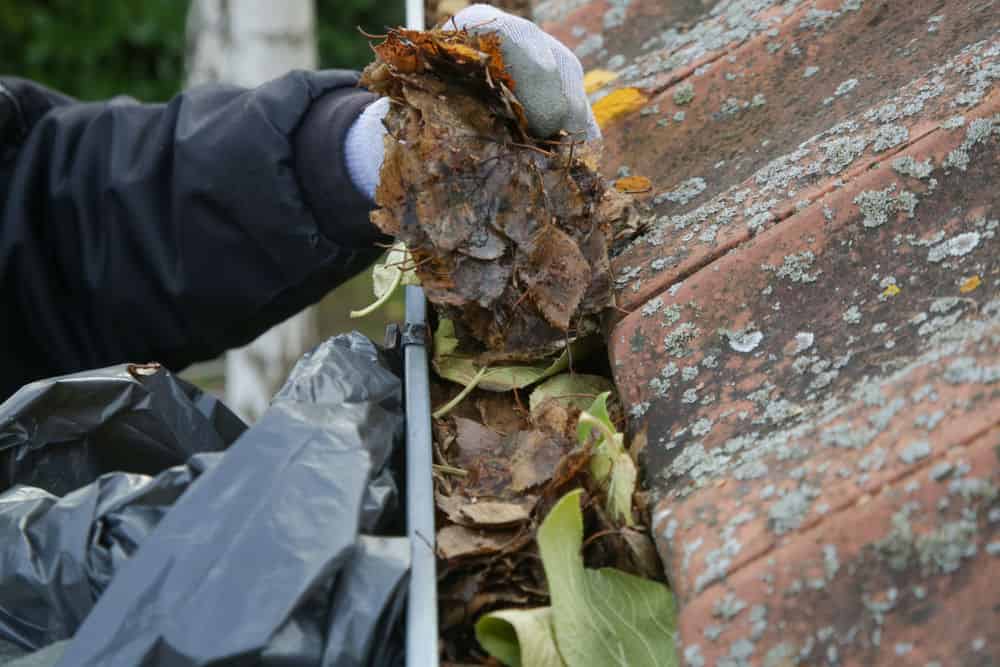 Gutter Cleaning image