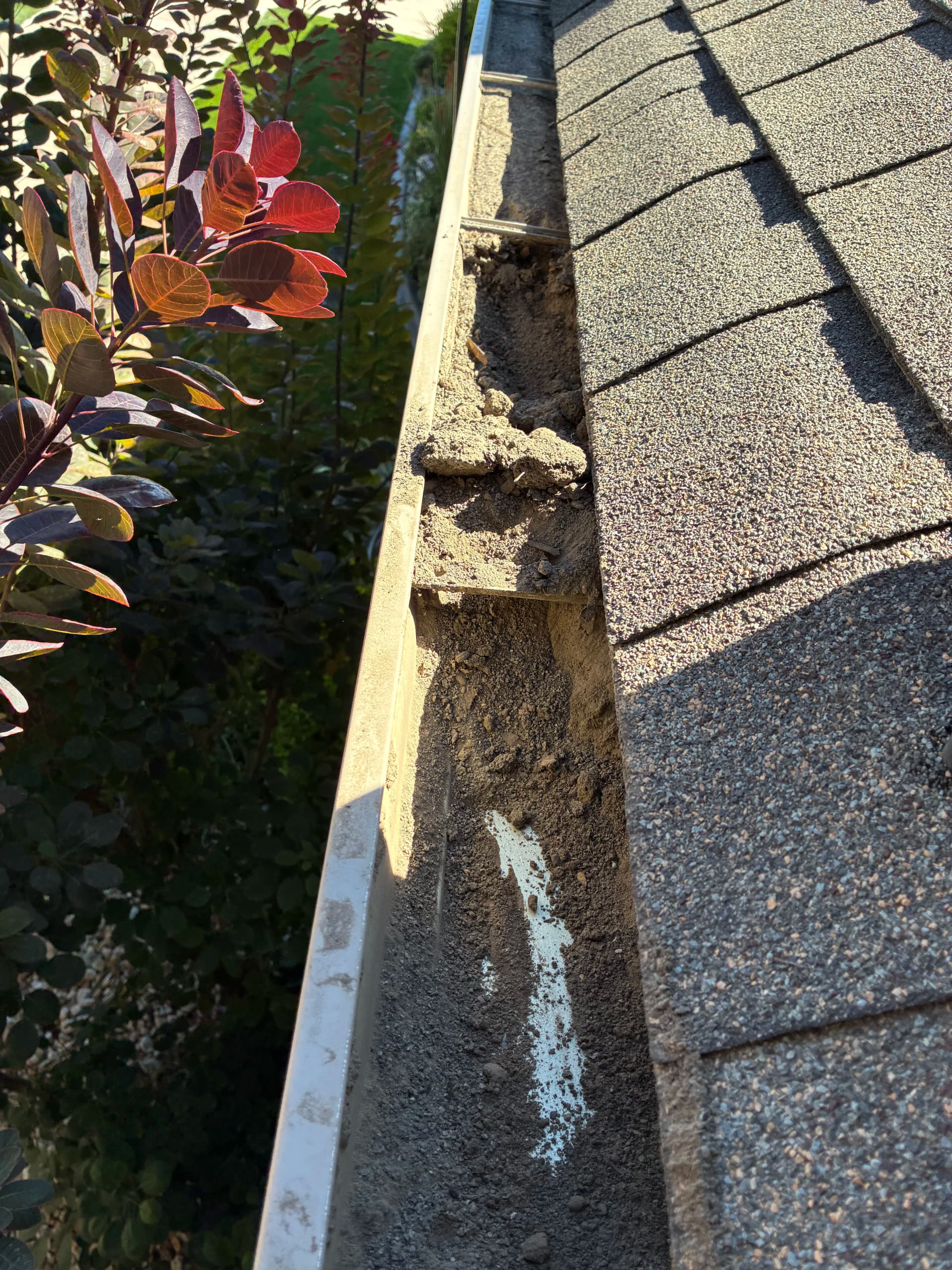 Ridgeline Gutters Gives Back with a Free Gutter Cleaning