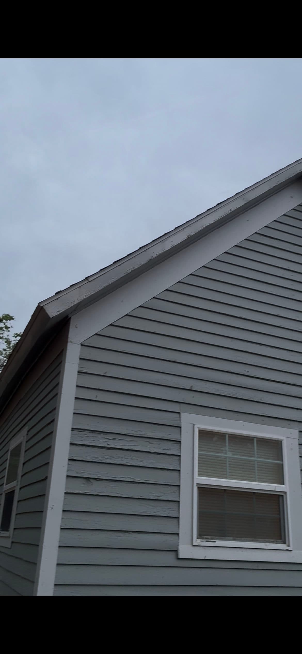 Gallery photos for New Gutters, Fascia, and Leaf Guards on a Mini-Cassia Home: Image #5